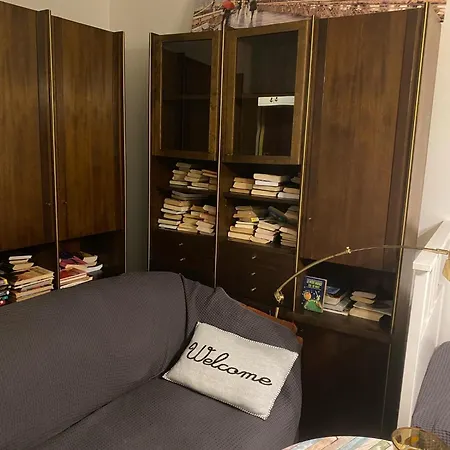 Idomus Bustas Ant Neries Skardzio * Vilnius