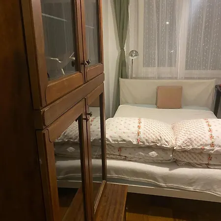 Idomus Bustas Ant Neries Skardzio *