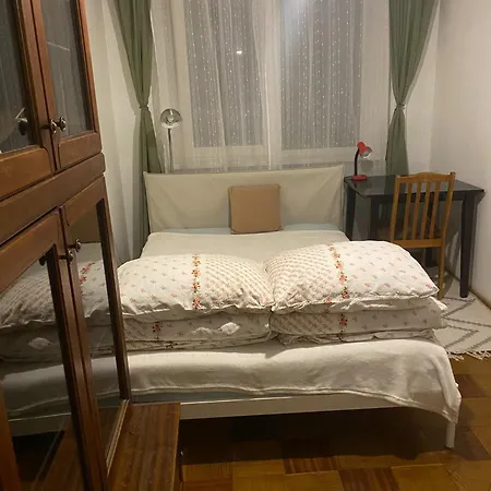 Idomus Bustas Ant Neries Skardzio * Vilnius