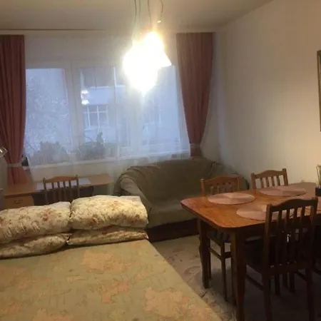 Idomus Bustas Ant Neries Skardzio * Vilnius