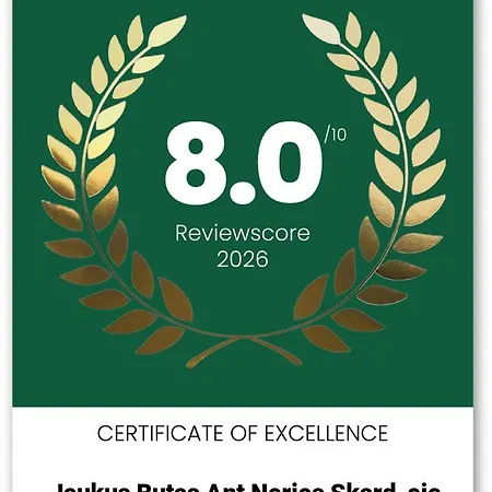 Idomus Bustas Ant Neries Skardzio * וילנה