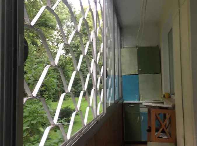 Idomus Bustas Ant Neries Skardzio Vilnius