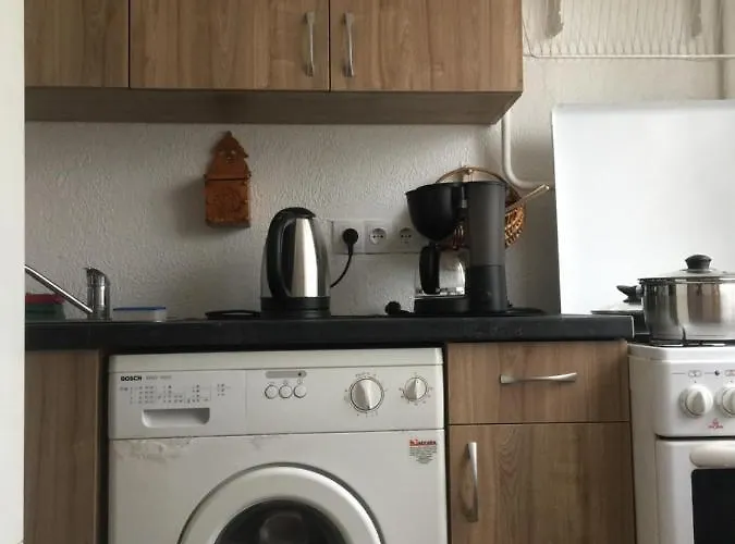 Idomus Bustas Ant Neries Skardzio *