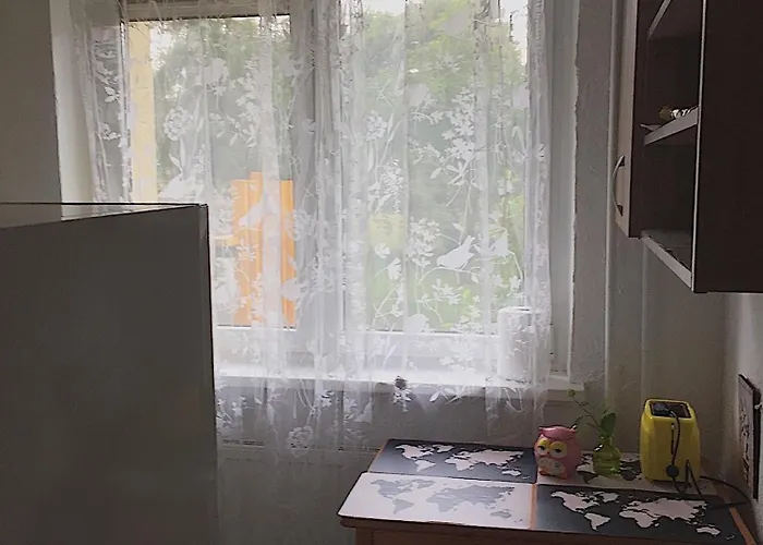 Idomus Bustas Ant Neries Skardzio