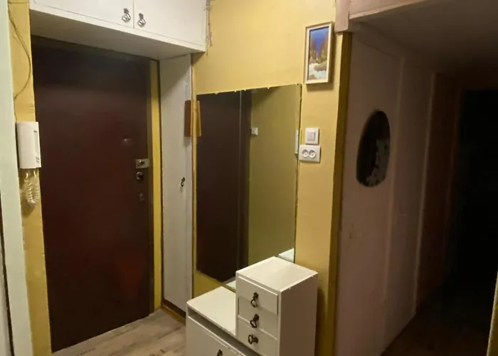 Idomus Bustas Ant Neries Skardzio Apartman Vilnius