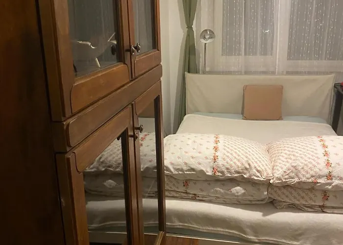 Idomus Bustas Ant Neries Skardzio *