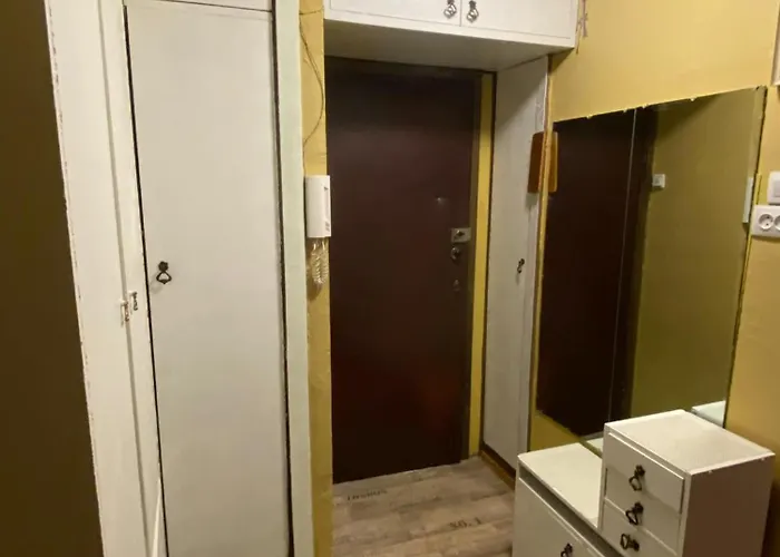 Idomus Bustas Ant Neries Skardzio