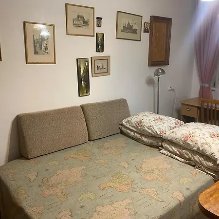 Idomus Bustas Ant Neries Skardzio