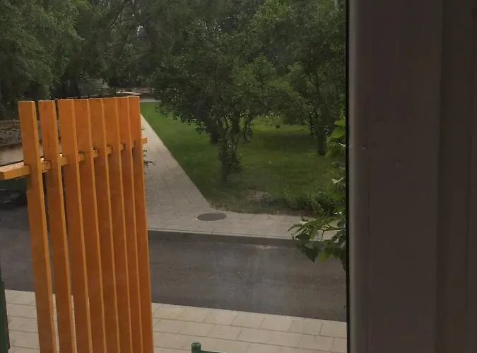 Idomus Bustas Ant Neries Skardzio