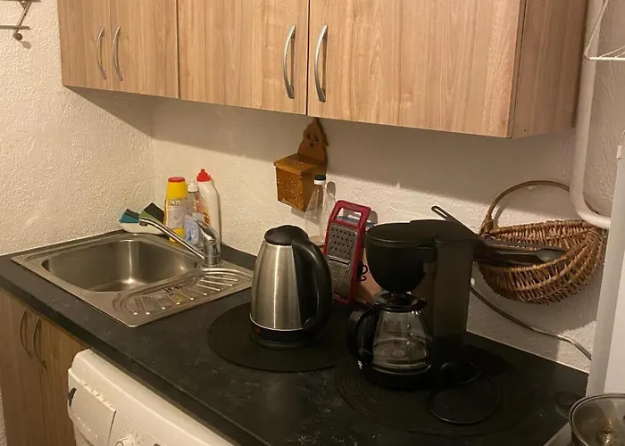 Idomus Bustas Ant Neries Skardzio Appartamento *