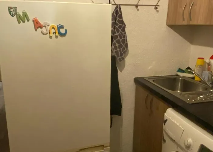 Idomus Bustas Ant Neries Skardzio * Vilnius