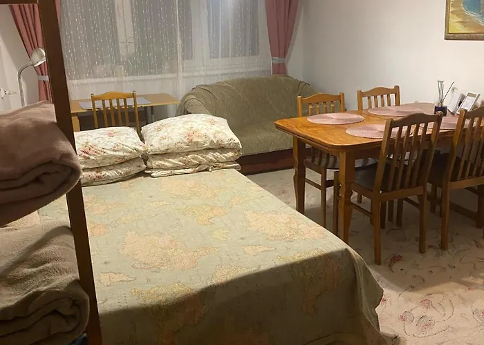 Idomus Bustas Ant Neries Skardzio Butas Vilnius