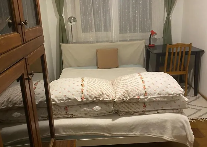 Idomus Bustas Ant Neries Skardzio * Vilnius