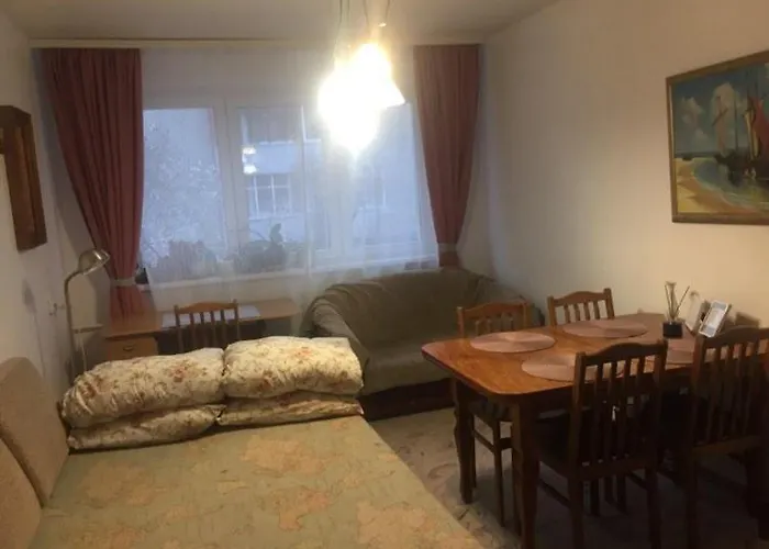 Idomus Bustas Ant Neries Skardzio * Vilnius